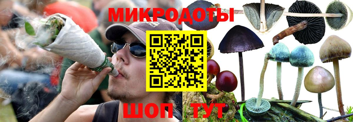 Псилоцибиновые грибы Psilocybe  Вход с VPN  Карачаевск 